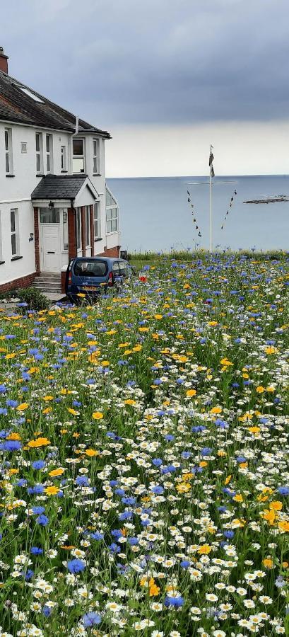 Cliff Haven Villa Borth Kültér fotó